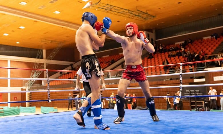 DSC06211-780×470-1