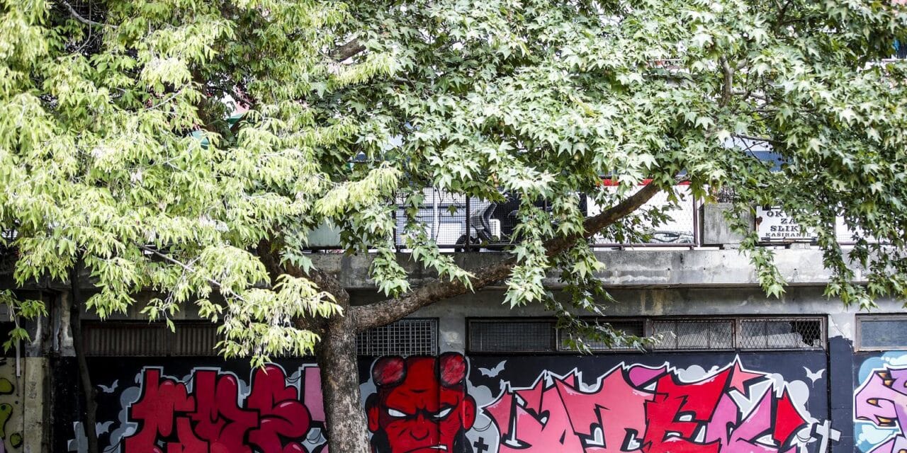 Grafiti na zidovima zagrebačkog naselja Savica