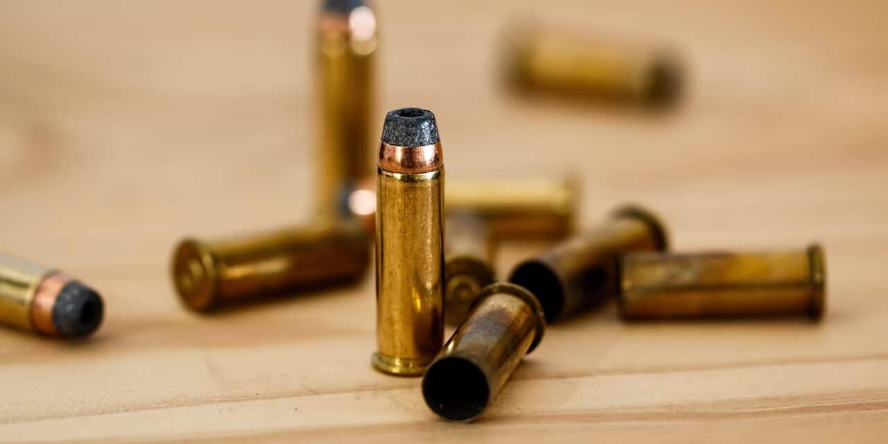 bullet-g110b6e78d_1280
