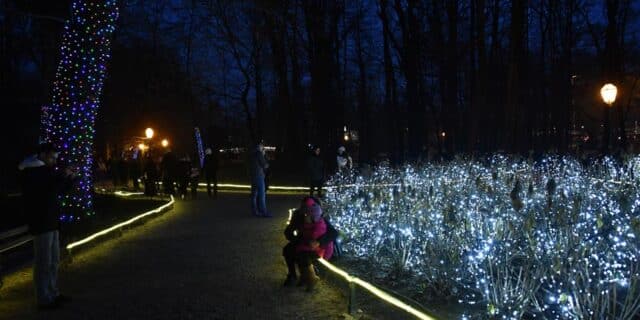 181202_Maksimir-i-Zoo-6