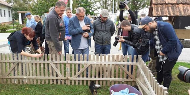 190928_Udomljavanje je fora (1)