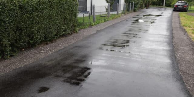 200605_mikuševa (5)