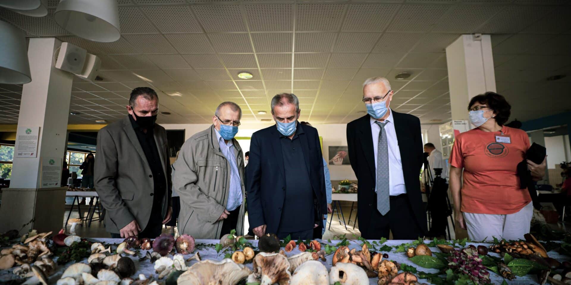 201010_42.-izlozba-gljiva-9-scaled