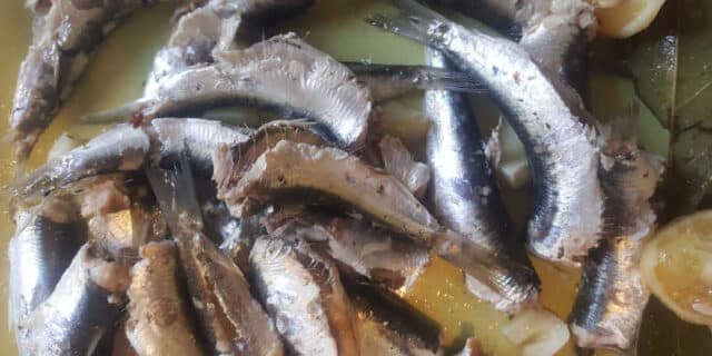 2021-02-26-gastro-lešo-srdele