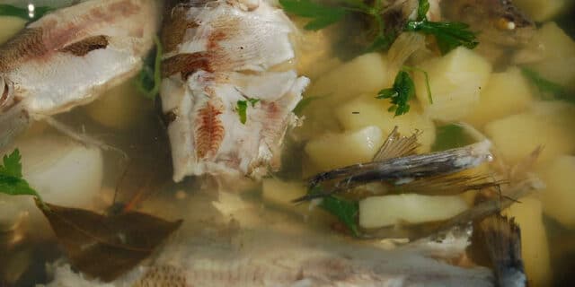 2021-04-02-gastro-riblja juha