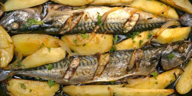 2021-04-16-gastro-skuša-iz-pećnice