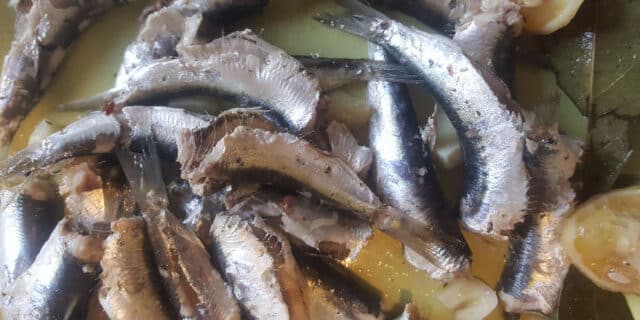2021-07-02-gastro-kuhane-srdele