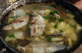 2021-10-15-gastro-RIBA-riblja-juha