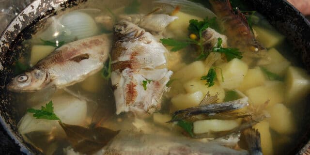 2021-10-15-gastro-RIBA-riblja-juha