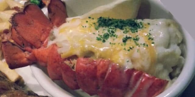 2021-10-16-gastro-MIX-jastog