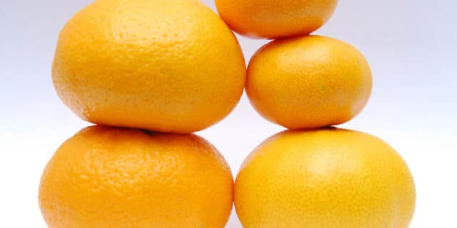 2021-10-25-gastro-KALORIJE-mandarine