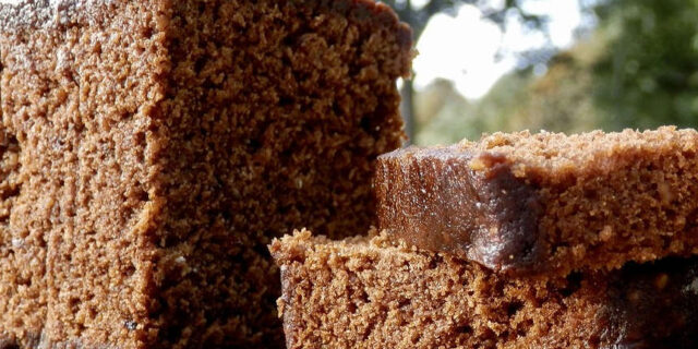 2021-11-07-gastro-DESERT-parkin