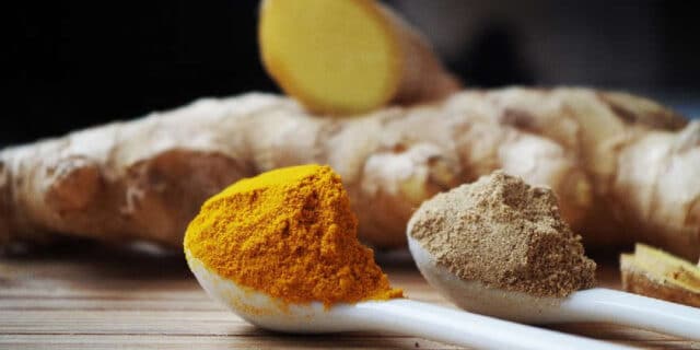 2021-11-11-gastro-ZAČINI-ginger