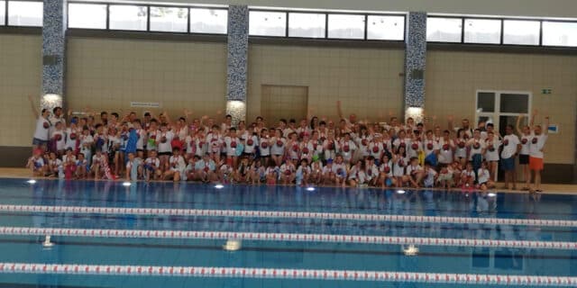 64415634_2253969084656480_6901549799384809472_n