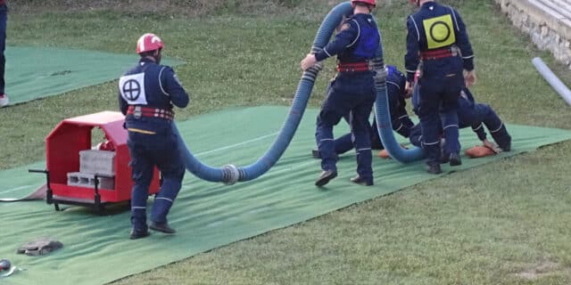 67301128_650981715423501_2756468942095515648_n