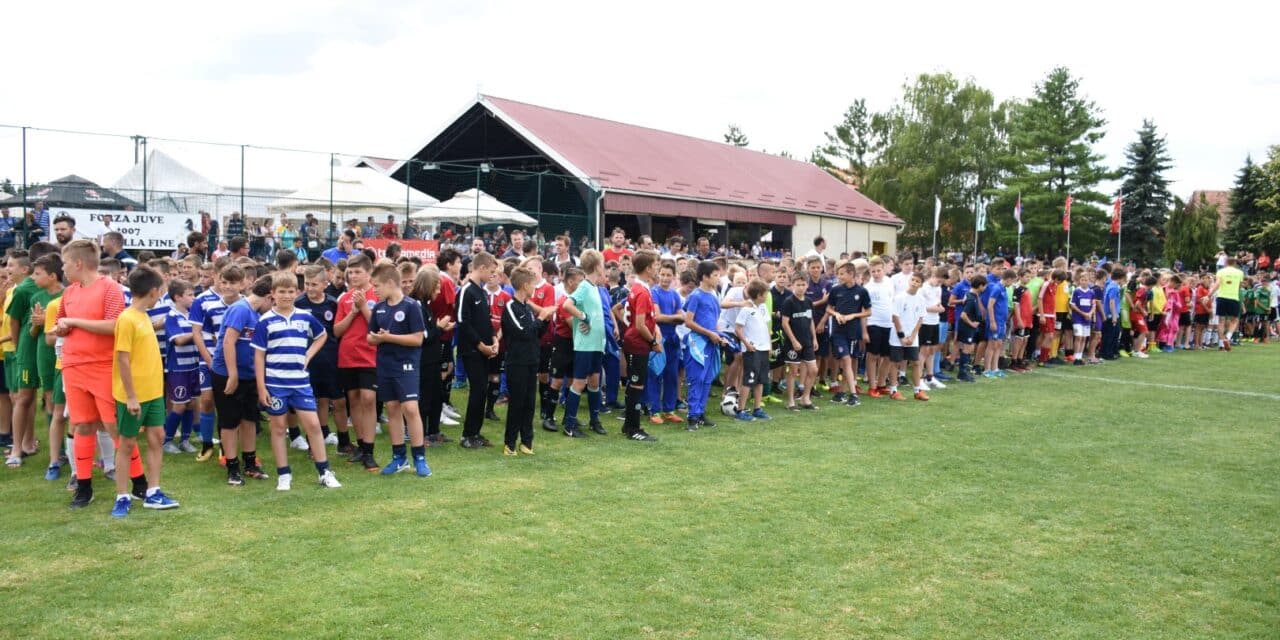 Alpas cup 1