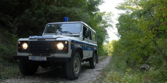 Auto_suma-696×464