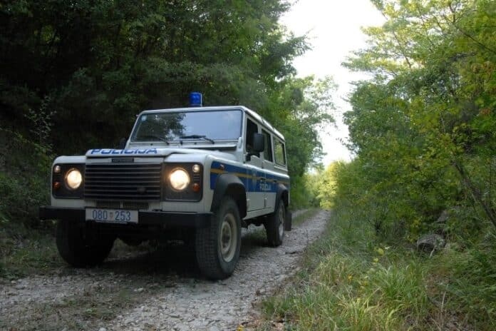 Auto_suma-696×464
