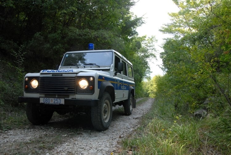 Auto_šuma