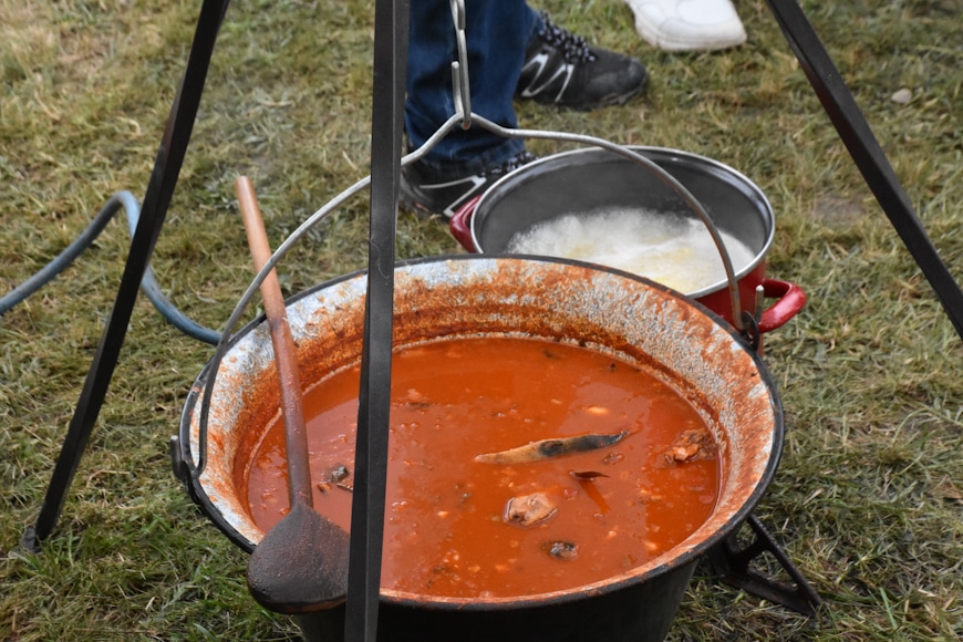 DSC_1106