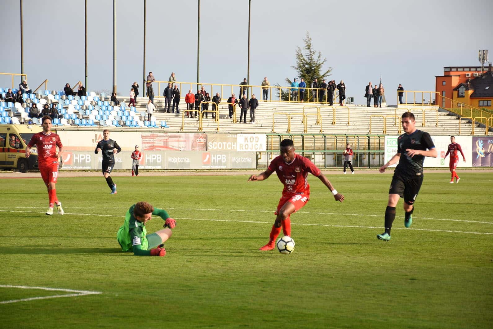 DSC_1142