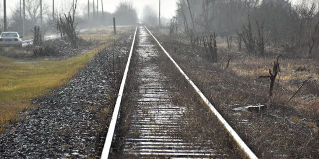 DSC_2960