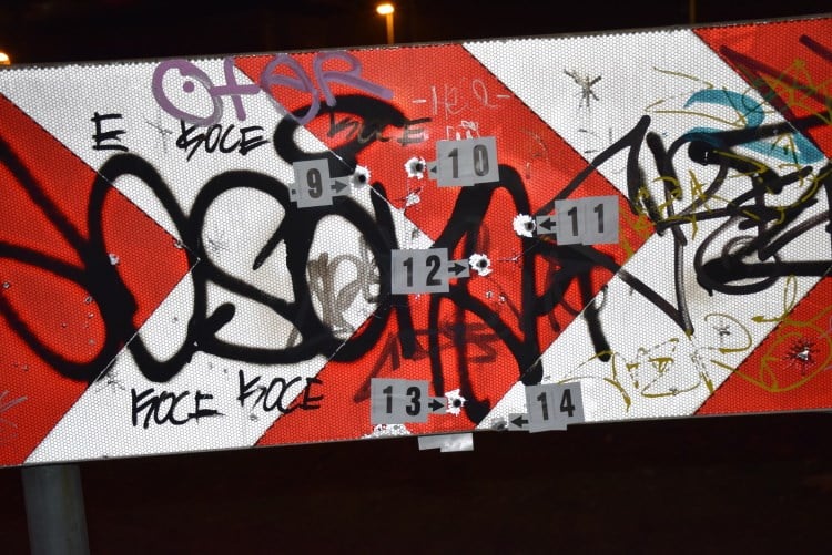 DSC_3