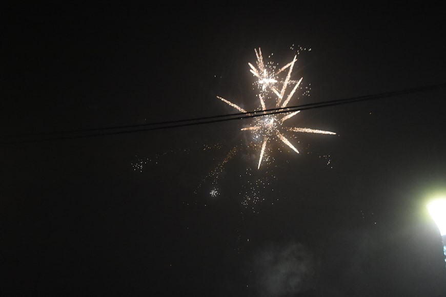DSC_3195