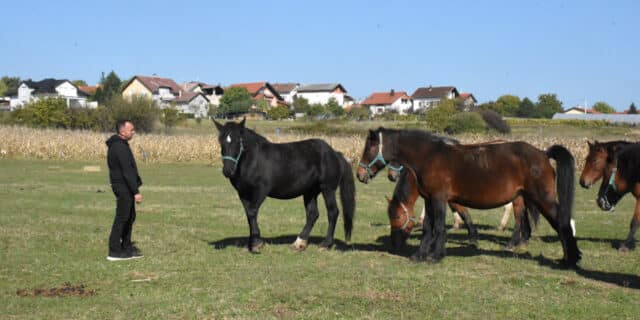 DSC_7491