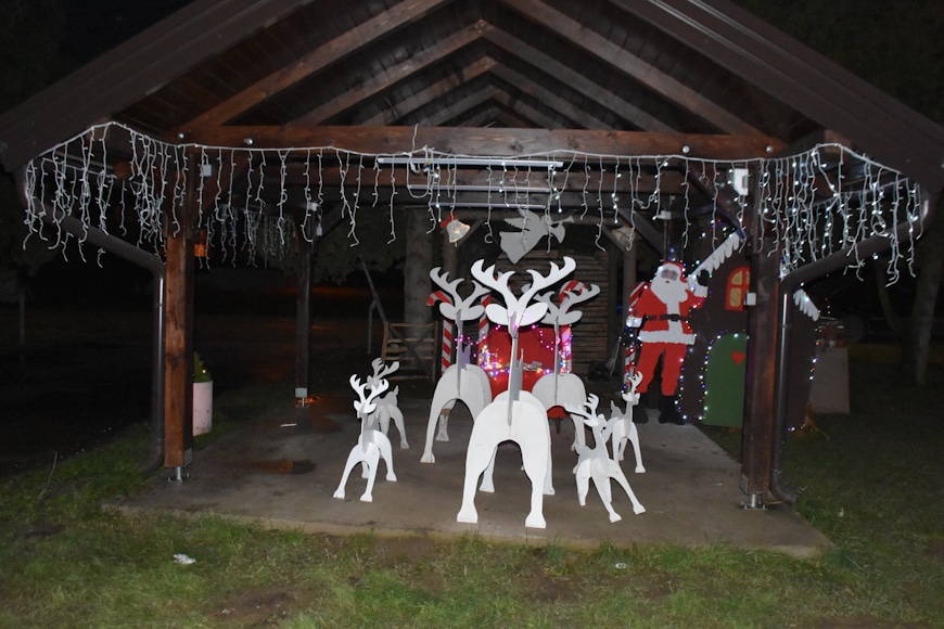DSC_7973