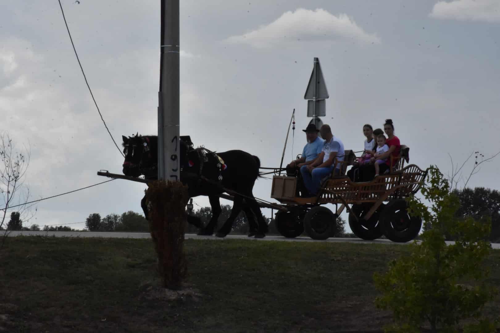 DSC_8131