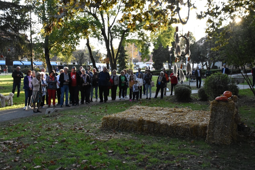 DSC_8517