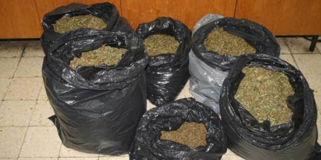 Droga Maksimir 1