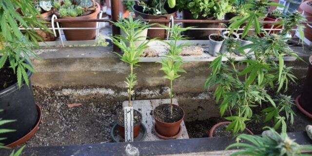 FOTO3