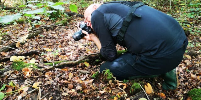 Foto safari cudesna suma Zutica (5)