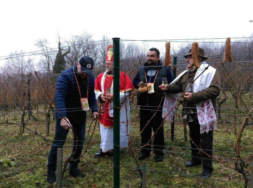 IMG-2772d7c97cc2abc2ccc9ebb0ae6315d5-V-20200120-080316650