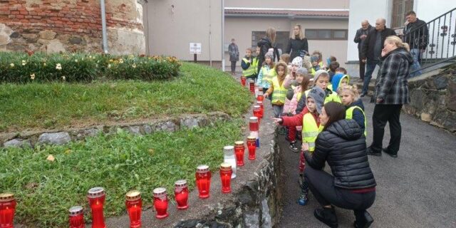 IMG_20221117_100246