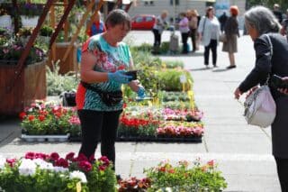 Zagreb: Na Trgu kralja Tomislava održava se manifestacija Dani cvijeća