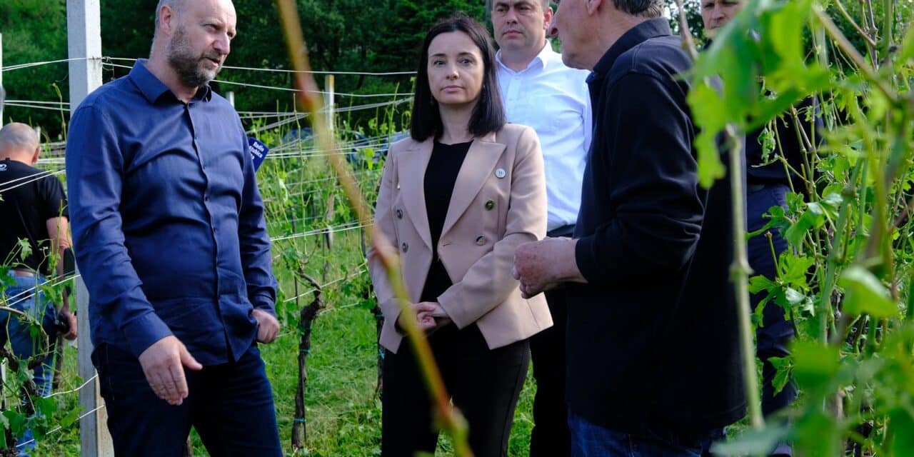 Klanjec: Ministrica poljoprivrede obišla je vinograd koji je najviše nastradao nakon jučerašnje tuče