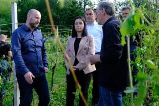 Klanjec: Ministrica poljoprivrede obišla je vinograd koji je najviše nastradao nakon jučerašnje tuče