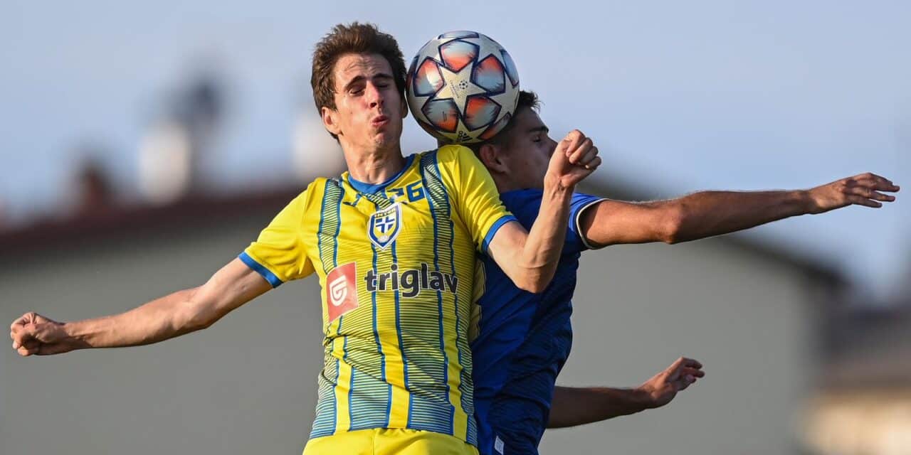Pripremna utakmica, Inter Zaprešić – GNK Dinamo II