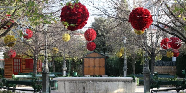 PXL_031219_27017098