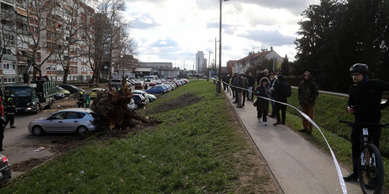 Zagreb: Vjetar srušio stablo jablana, oštećeno više automobila