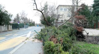 Zagreb: Vjetar isčupao stablo koje je oštetilo ogradu