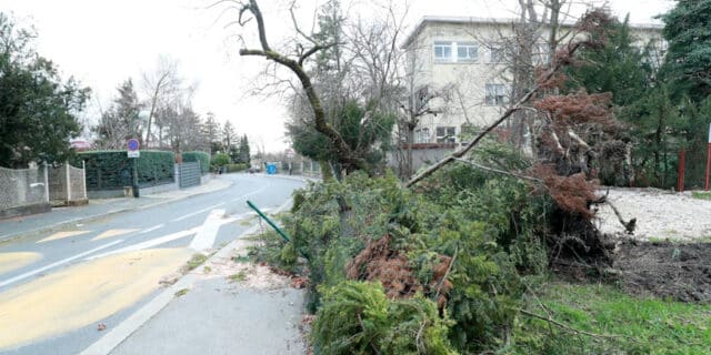Zagreb: Vjetar isčupao stablo koje je oštetilo ogradu
