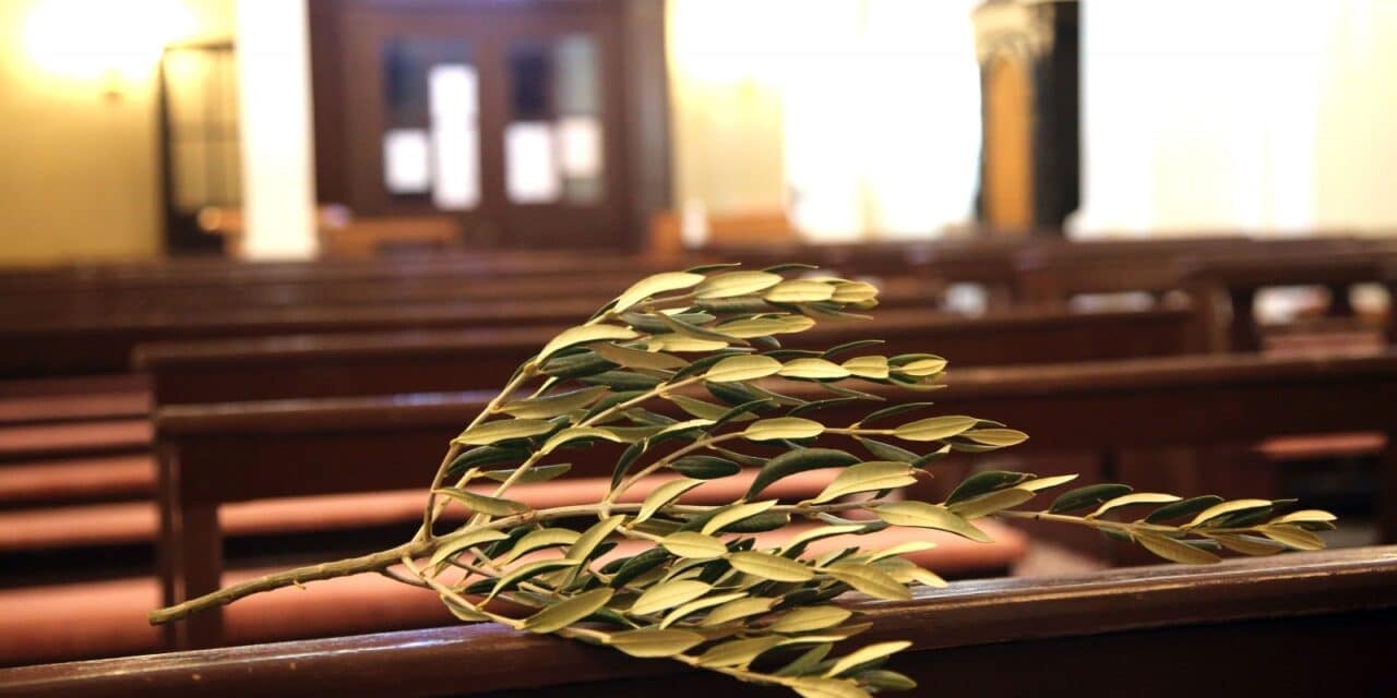 U Stankovcima ispred crkve vjernicima ostavili blagoslovljene maslinove grančice