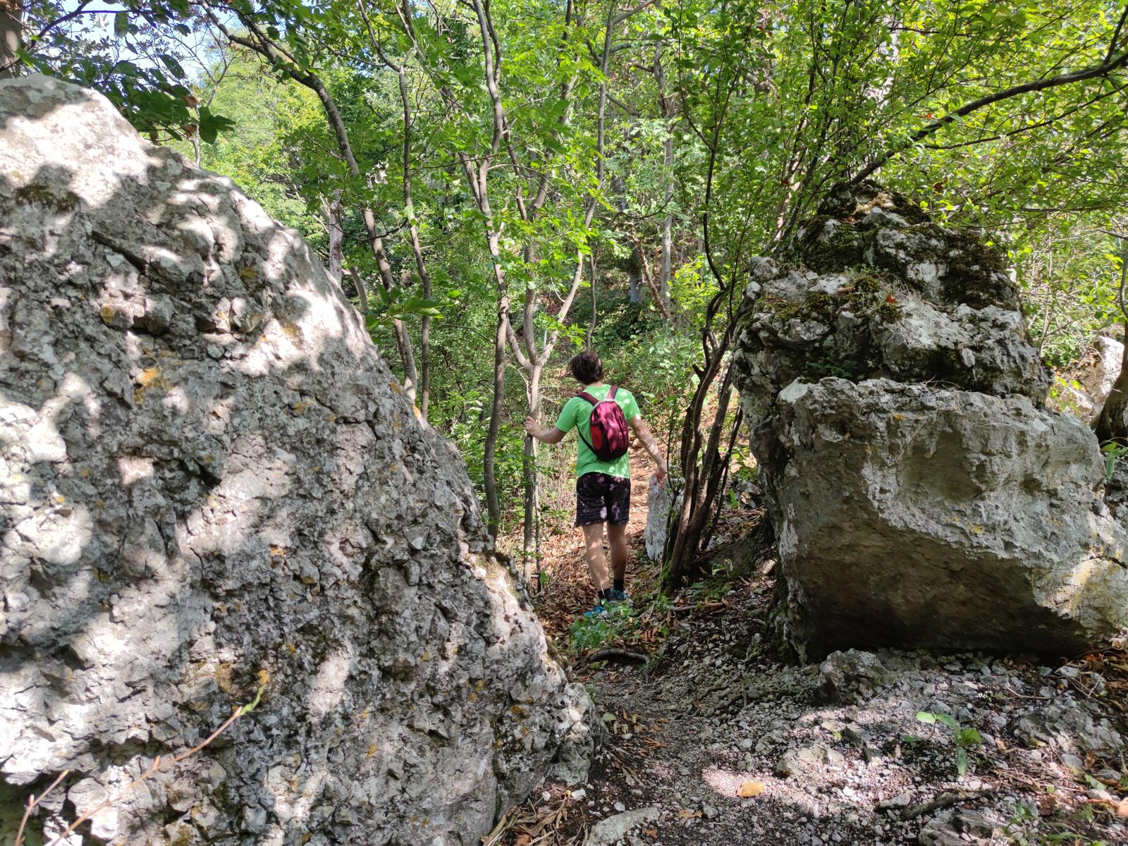 kalnik planinar