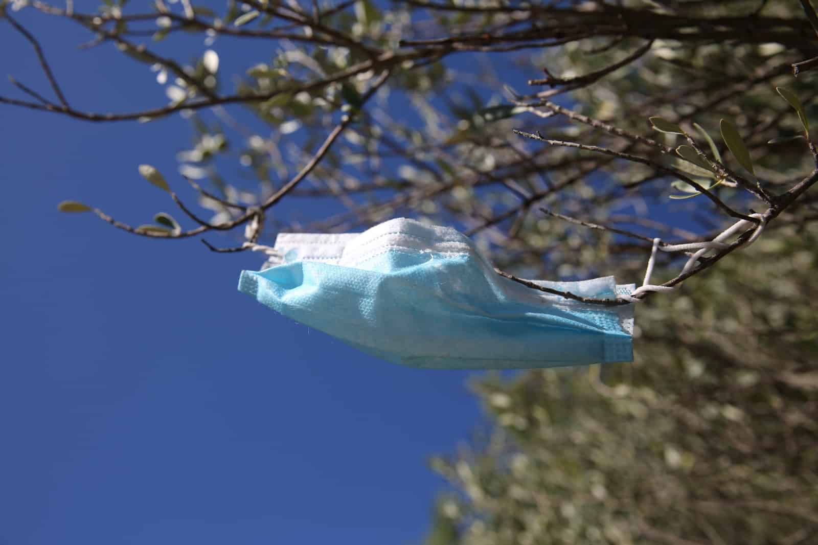 Šibenik: Odbačene maske završile na stablima maslina