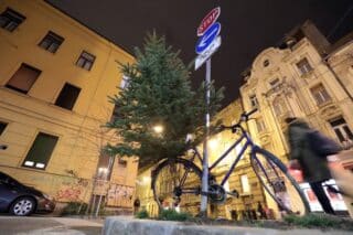 Zagreb: Nakon dnevnog boravka, bor je ukrasio i jedan bicikl