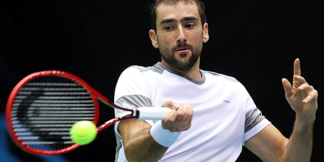 marin čilić